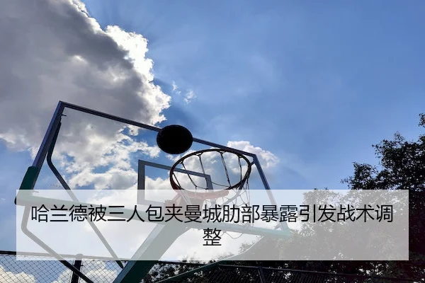 ha-lan-de-bei-san-ren-bao-jia-man-cheng-le-bu-bao-lu-yin-fa-zhan-shu-tiao-zheng-2-969.jpg
